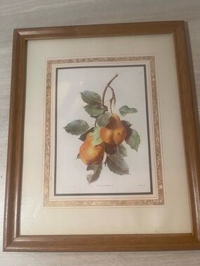 Vintage Framed Botanical Pear Print - Warm Wood Frame